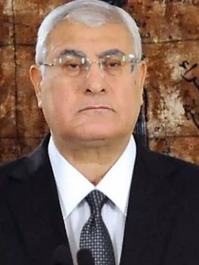 Adly Mansour Biography: Wiki, Age, Career, Height, Weight, Boyfriend, Net Worth & More