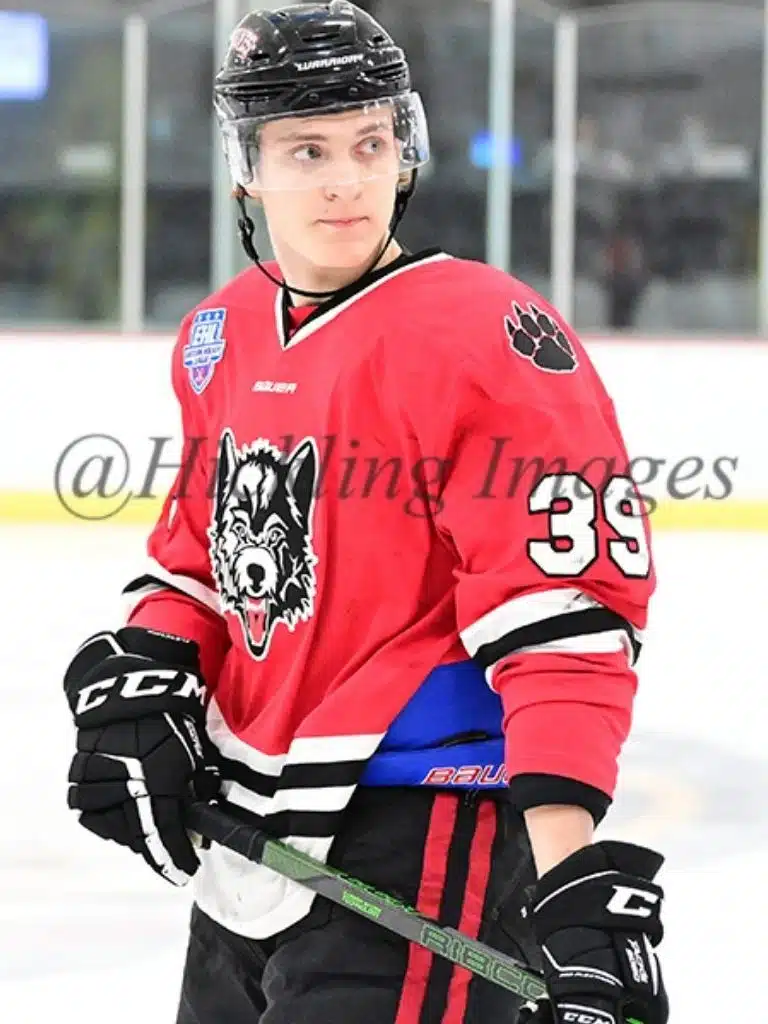 Sergei Anisimov Biography: Wiki, Age, Career, Height, Weight, Boyfriend, Net Worth & More