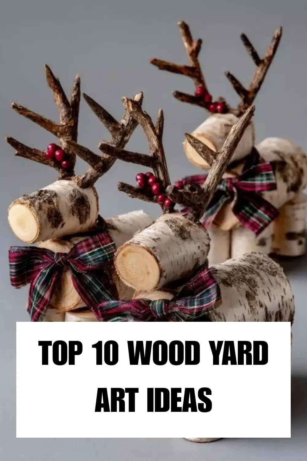 aaaaaaaaaasddddddd Biography: Wiki, Age, Career, Height, Weight, Boyfriend, Net Worth & More