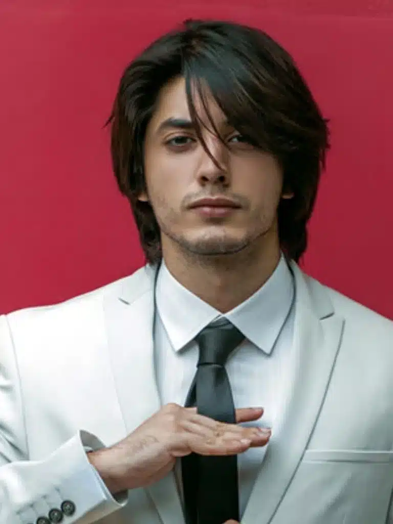 Danyal Zafar Wikipedia Biography: Wiki, Age, Career, Height, Weight, Boyfriend, Net Worth & More