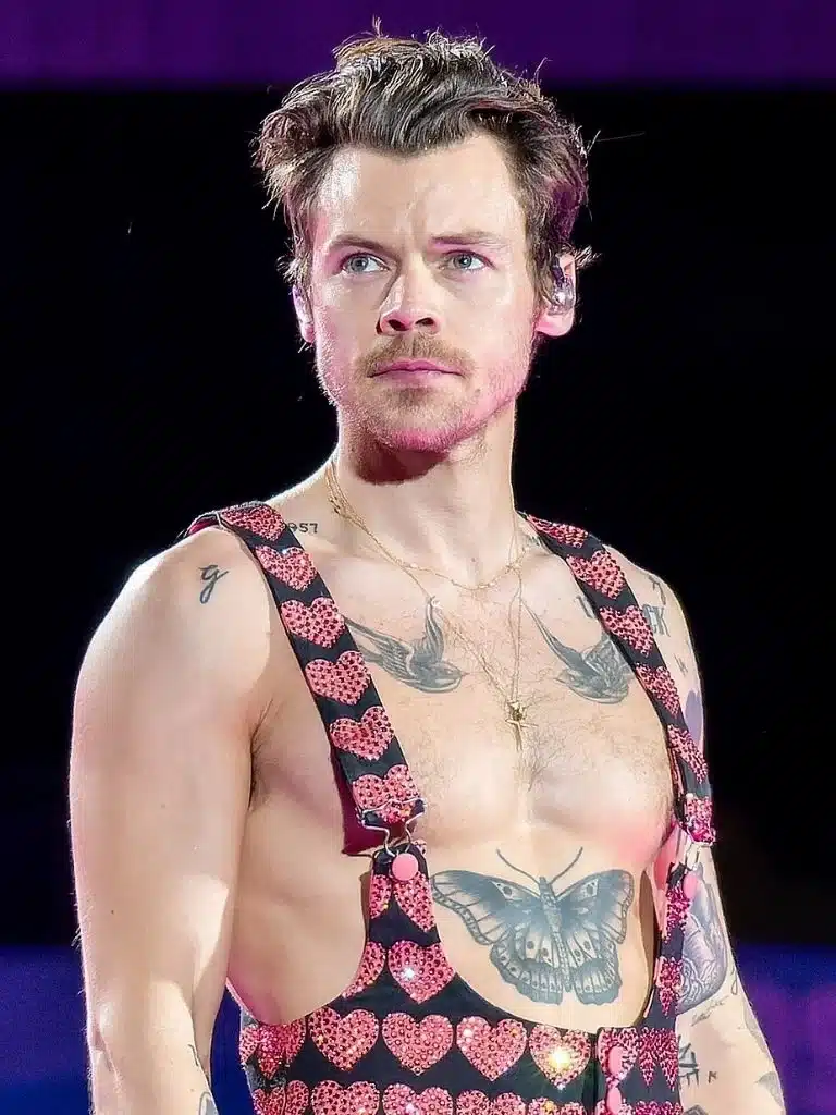 Harry Styles Wikipedia Biography: Wiki, Age, Career, Height, Weight, Boyfriend, Net Worth & More